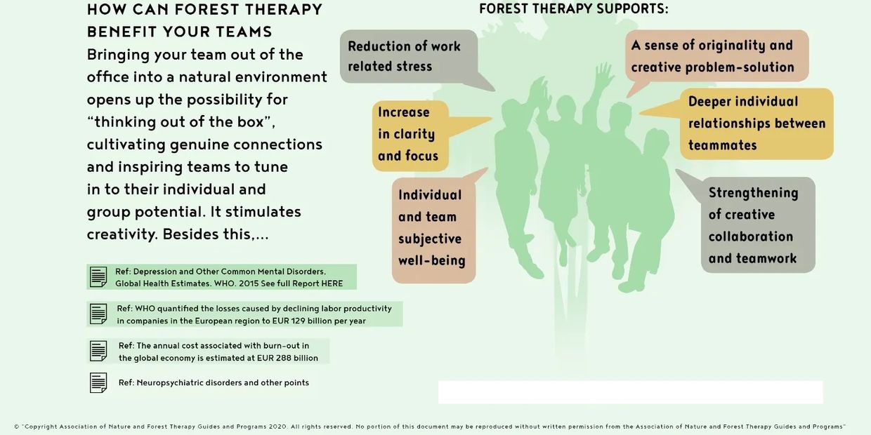 benefits of forest therapy for teams