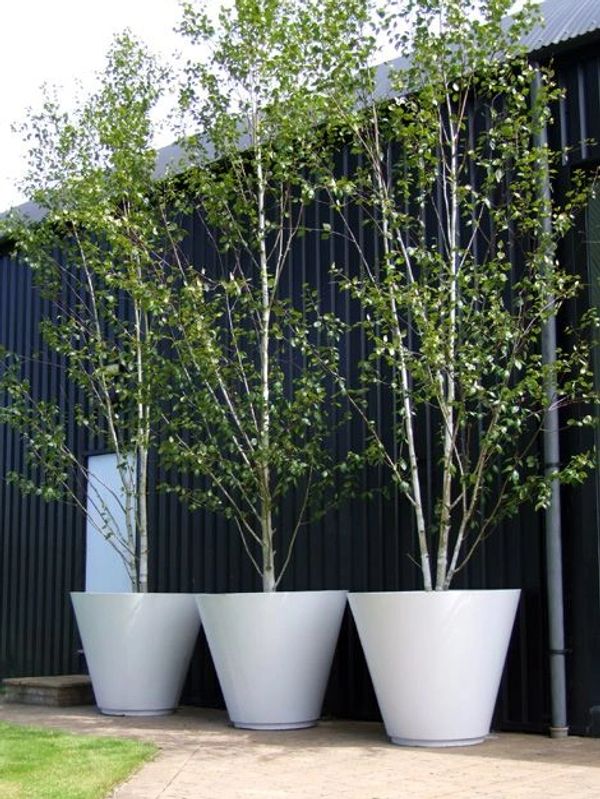 Outdoor Fiberglass Planters wholesale in India