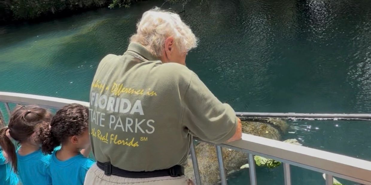 People watching aquatic life at a Florida state park.