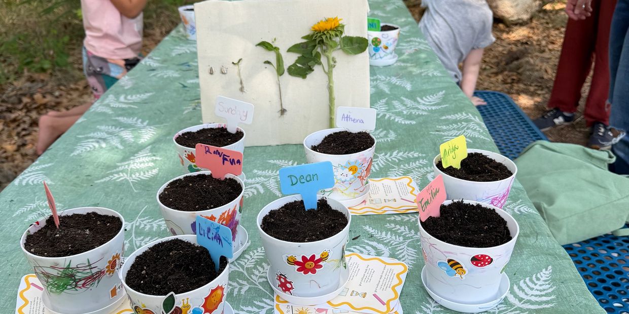 Decorated pots with soil and plant name tags on a table.