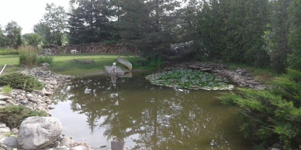 A pond with rocks and trees and lilly pads