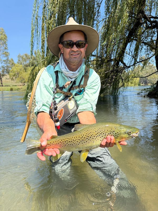 Guided fly fishing Victoria. Trout fishing