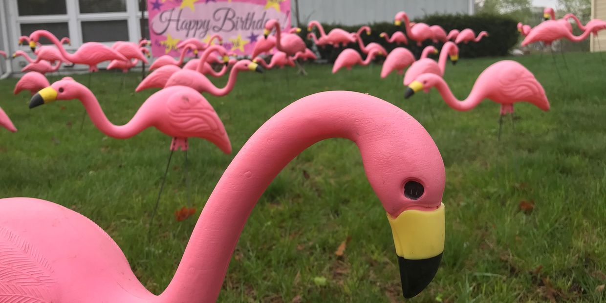 Flamingo Party People Flamingo Surprise Lawn Display