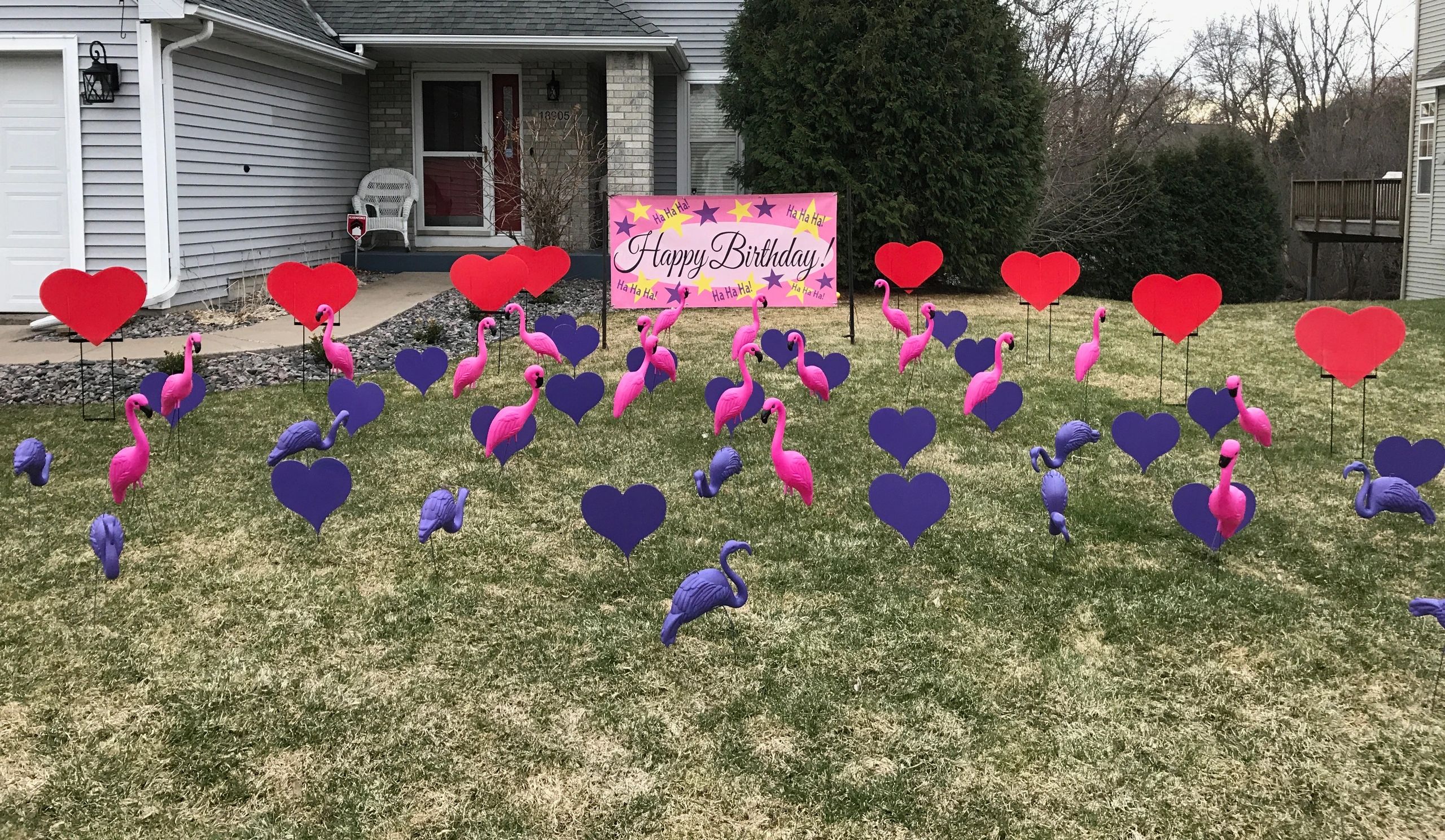 purple flamingos