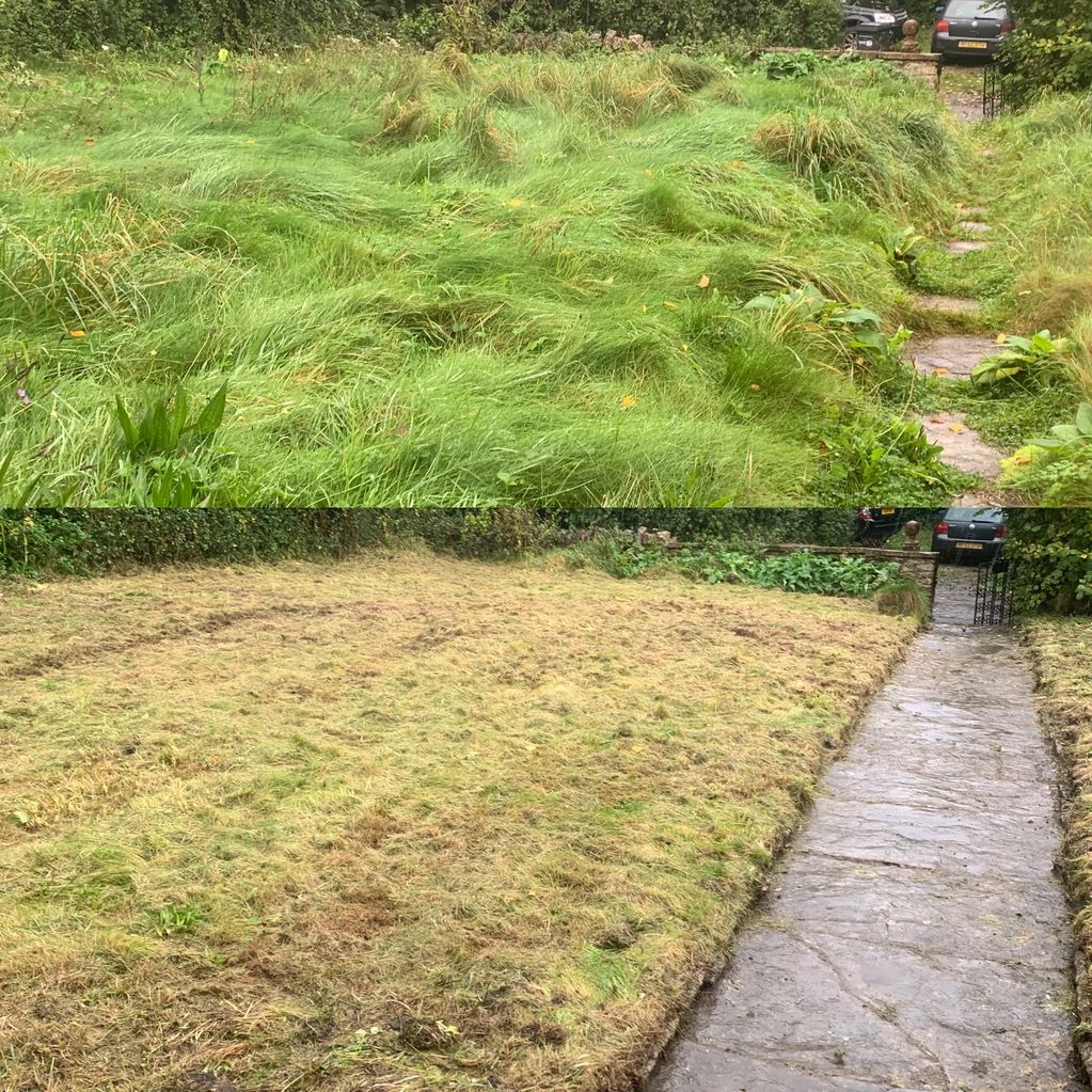 Before and after: lawn 