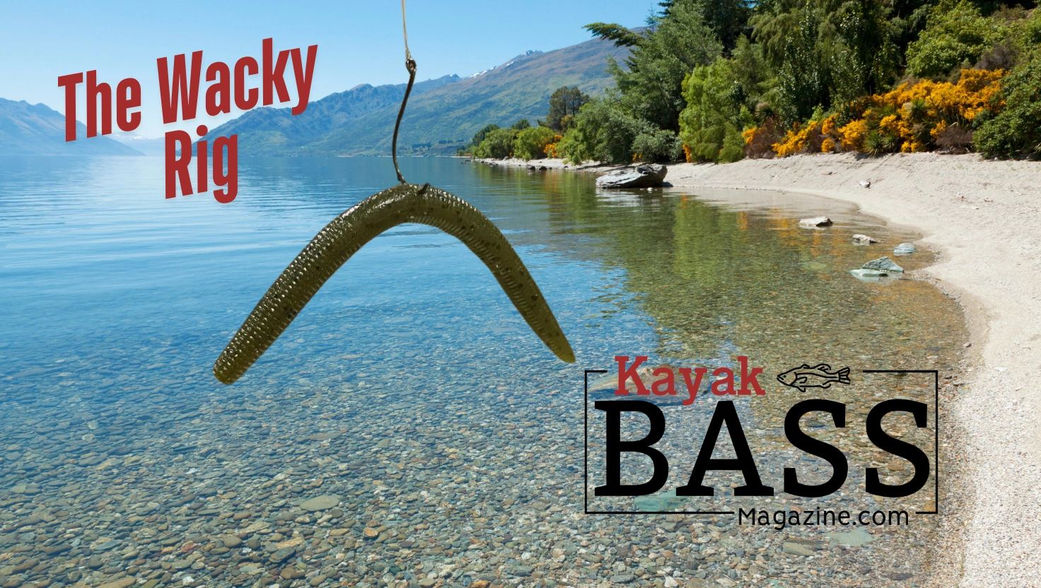 Wacky Rig: How to rig and fish it
