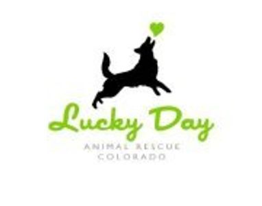 lucky day animal rescue colorado