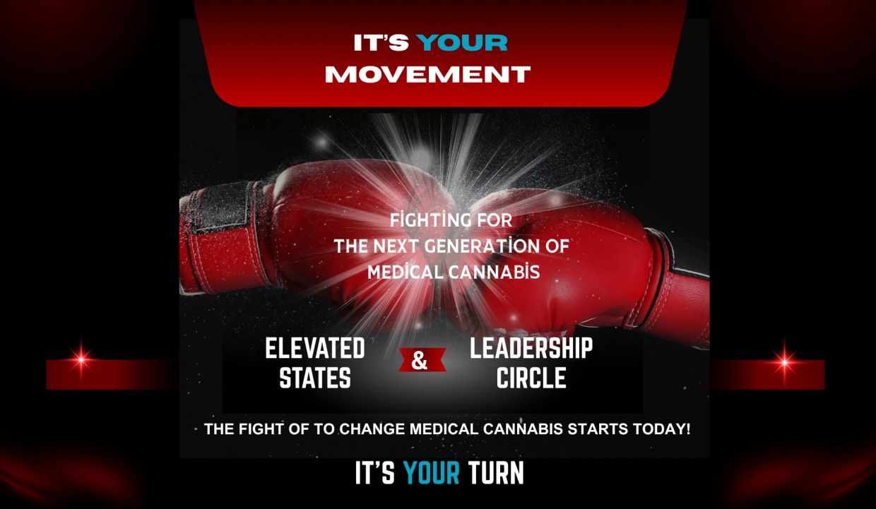Boxing gloves symbolize the fight for medical cannabis progress.