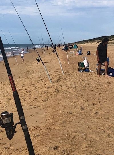 Recent fishing successes Loch Sport Fishing Association Recent fishing successes Loch Sport Fishing Association