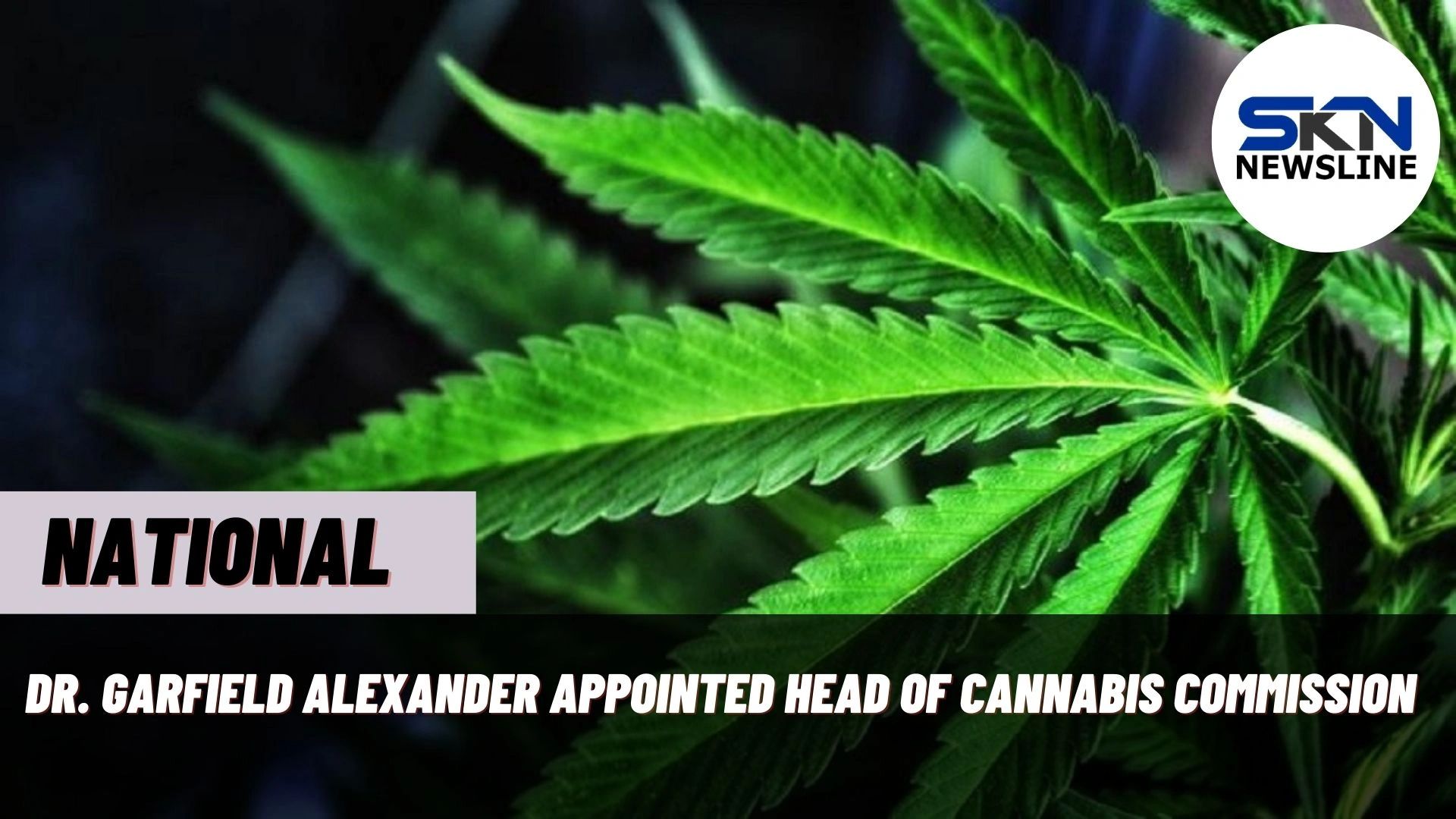 DR. GARFIELD ALEXANDER APPOINTED HEAD OF CANNABIS COMMISSION