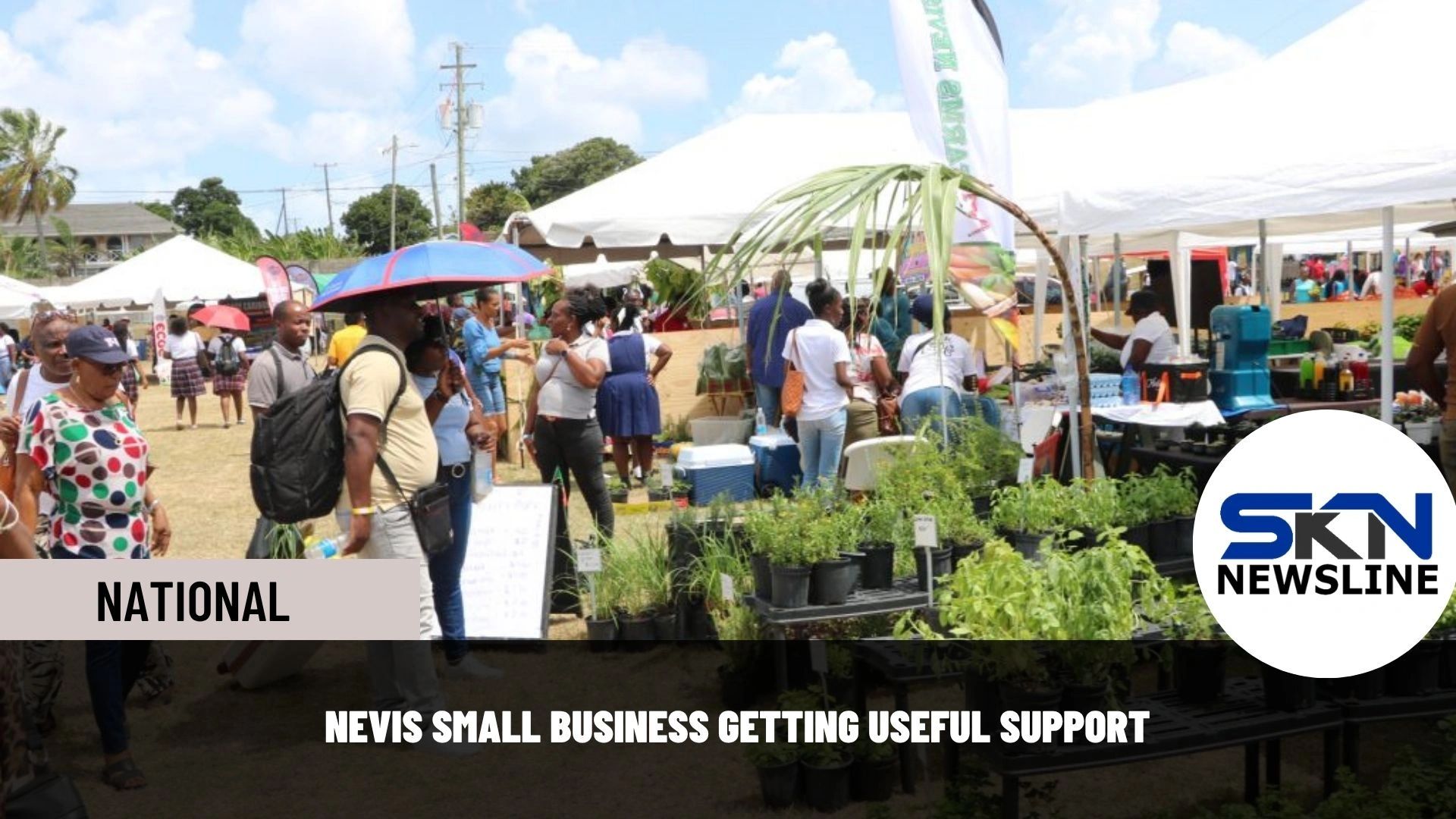 NEVIS SMALL BUSINESS GETTING USEFUL SUPPORT