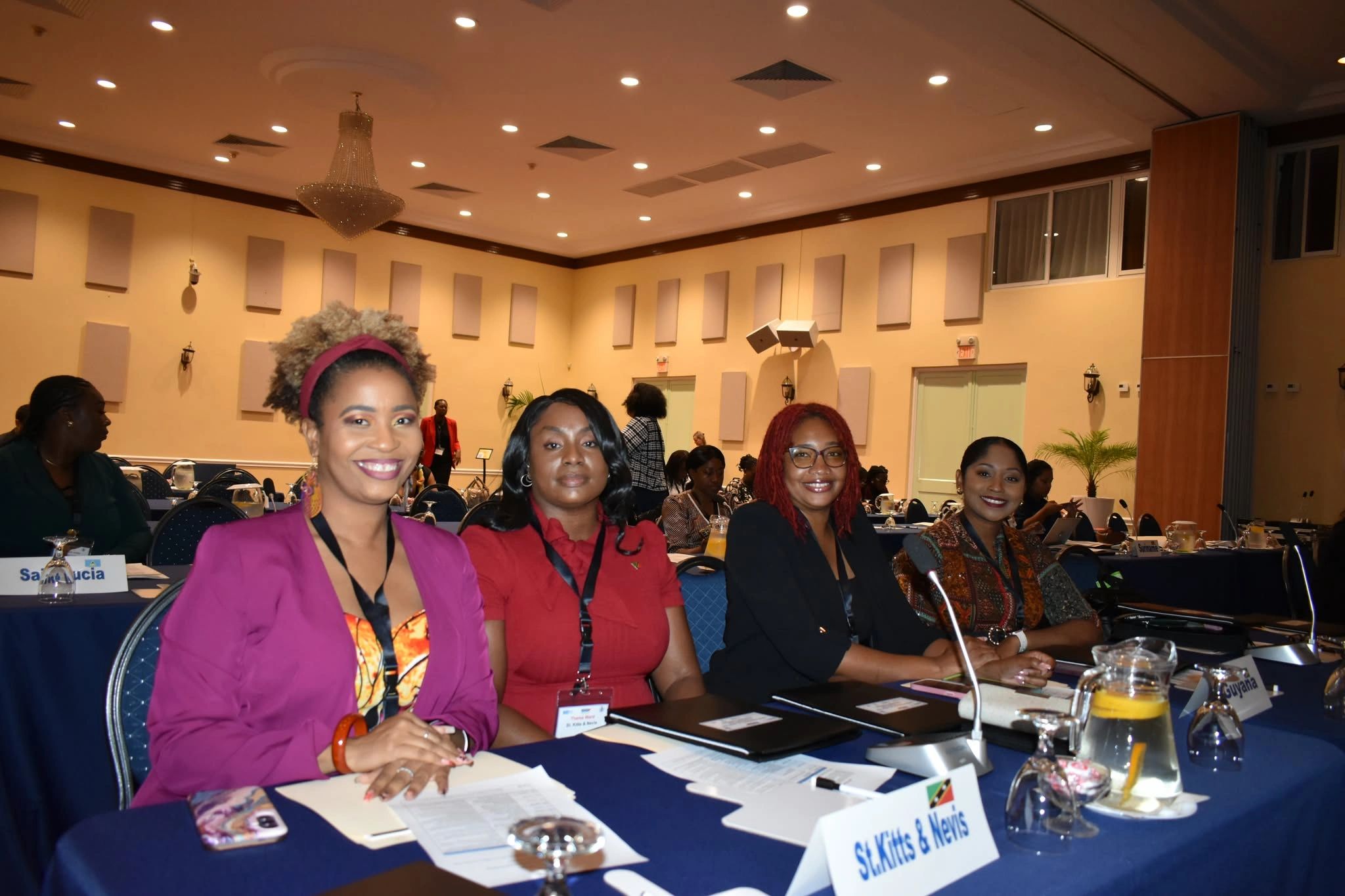 SKN REPRESENTED AT WIMAC WORKSHOP IN SURINAME