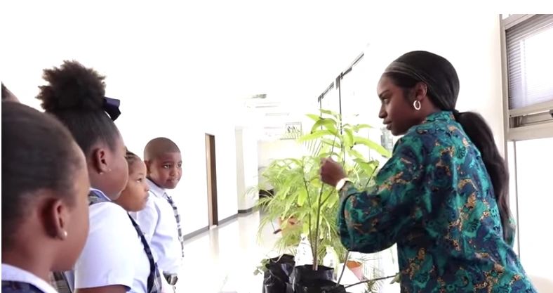 NEVIS’S FIRST ECO DAY: SUSTAINABILITY IN ACTION