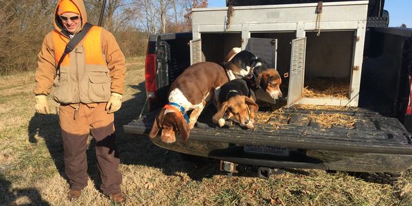 weir creek beagles for sale.  Rabit beagles near me for sale.  Started and running beagles weircreek