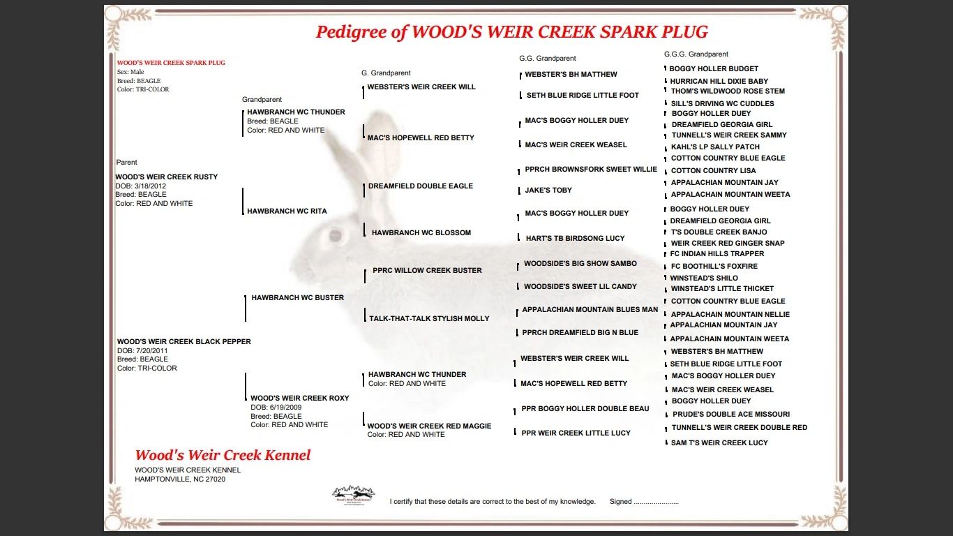 WOOD'S WEIR CREEK BEAGLES SPARK PLUG PEDIGREE