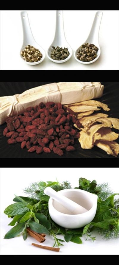Wang's Herbal Medicine Herbs for Diabetes