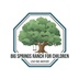 Big Springs Ranch for Children
