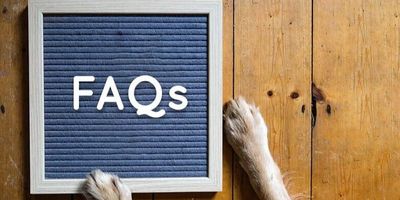 Mutts & Martinis FAQ