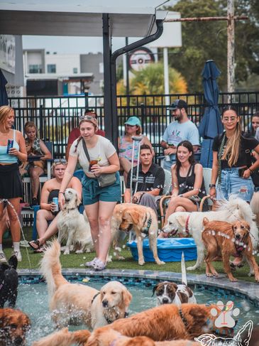 Mutts & Martinis photo