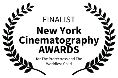 Max Sternlicht Finalist New York Cinematography Awards
