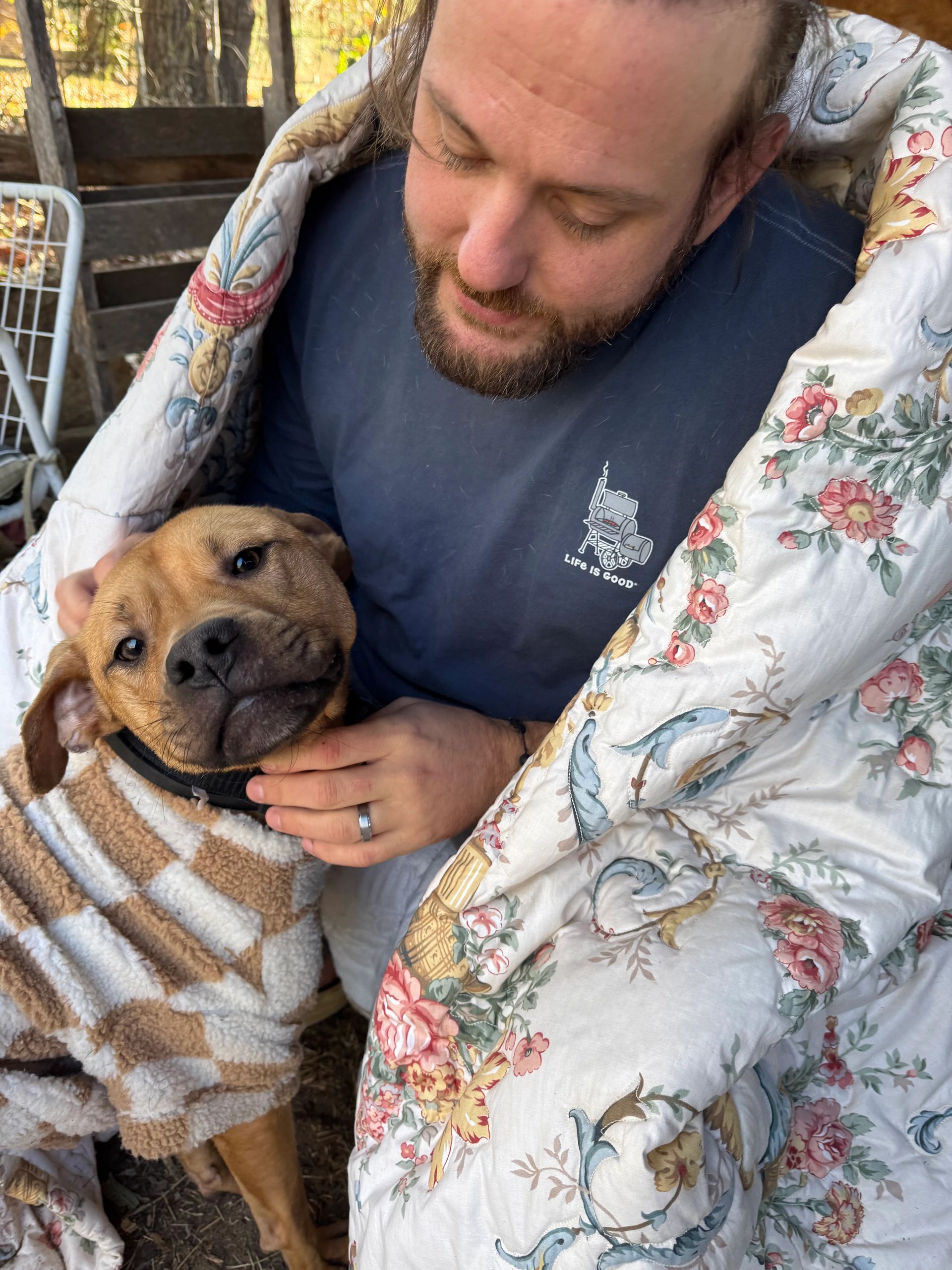 Pups Rescue Help Puppy Rescue: Adopt, Rehome & Save Lives