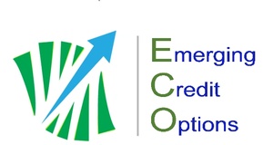 Emerging Credit Options