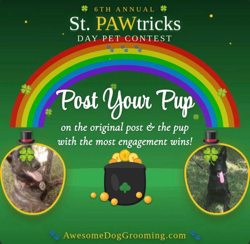 Awesome Dog Grooming 6th Annual St PAWtricks Day Pet Contest