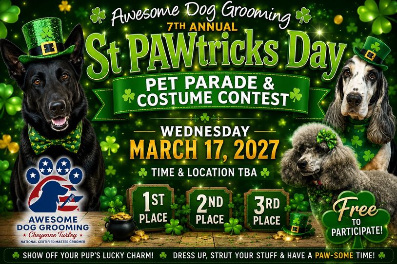Awesome Dog Grooming 7th Annual St PAWtricks Day Pet Contest