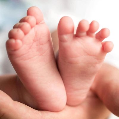 Babies feet