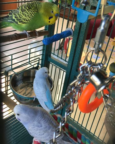 image118