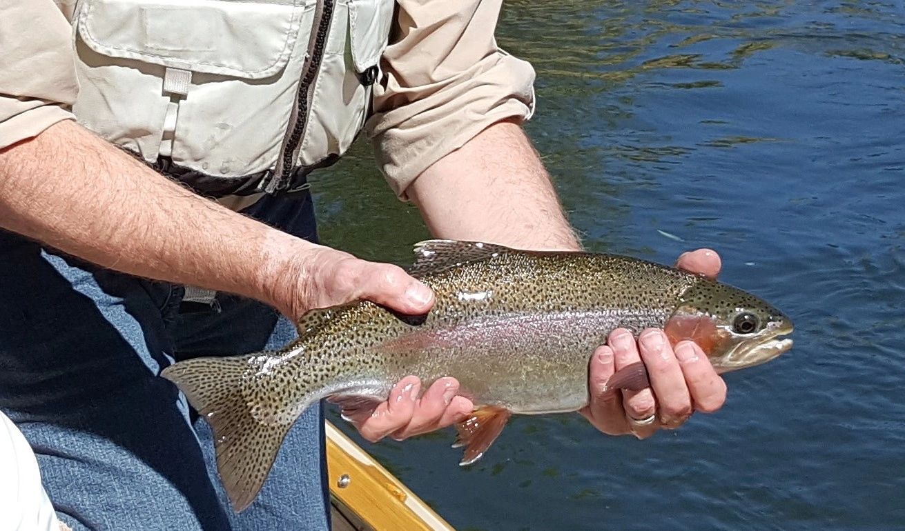 Classic Fly Fishing - Colorado Vintage Fly Fishing