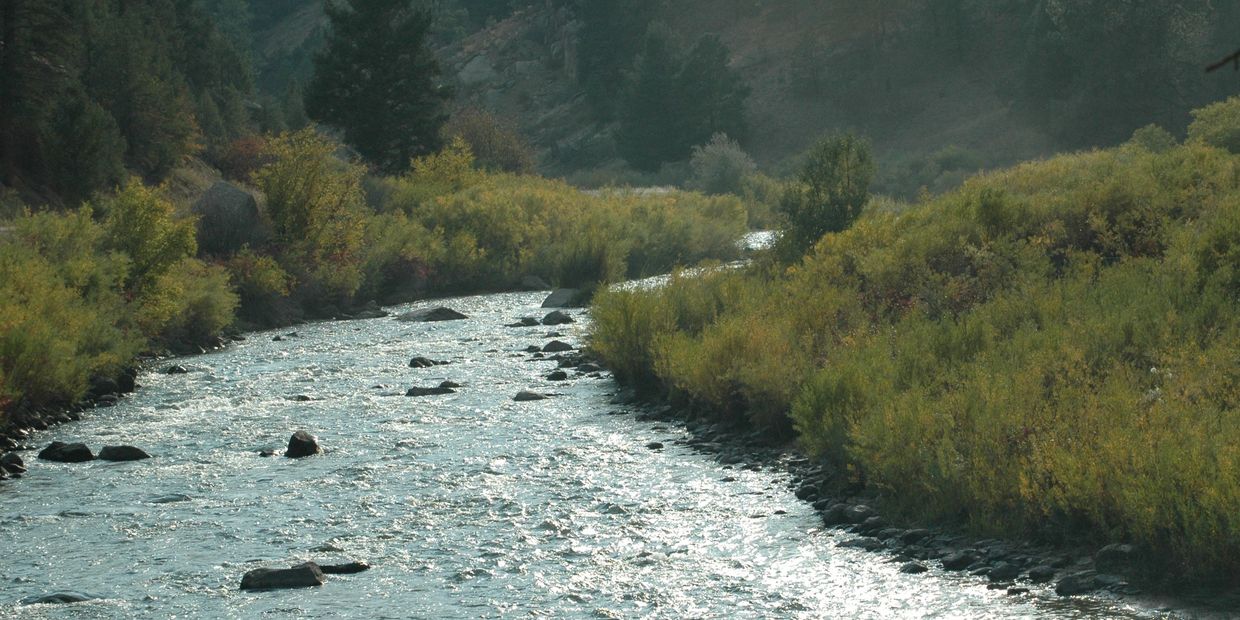 South Platte River Near Deckers, CO