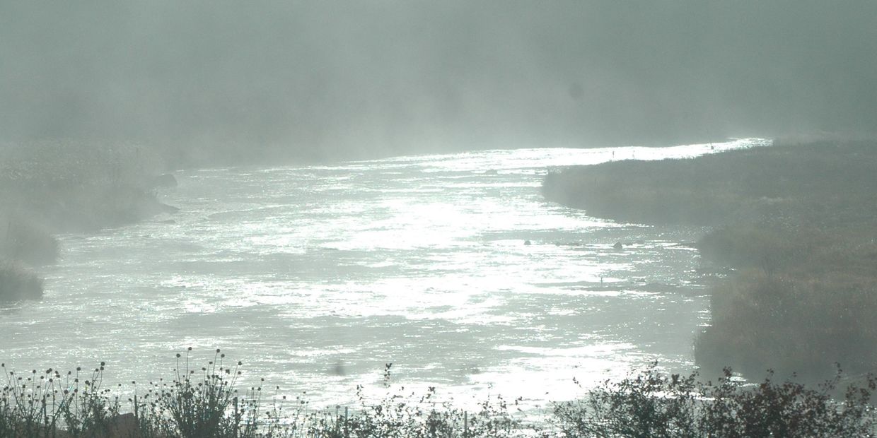 Early morning mist on the South Platte River
