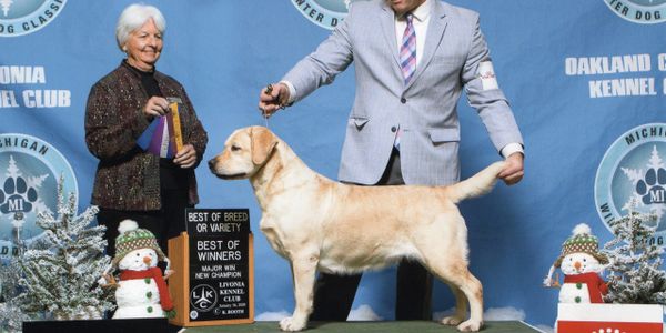 Dory finishing her AKC title!