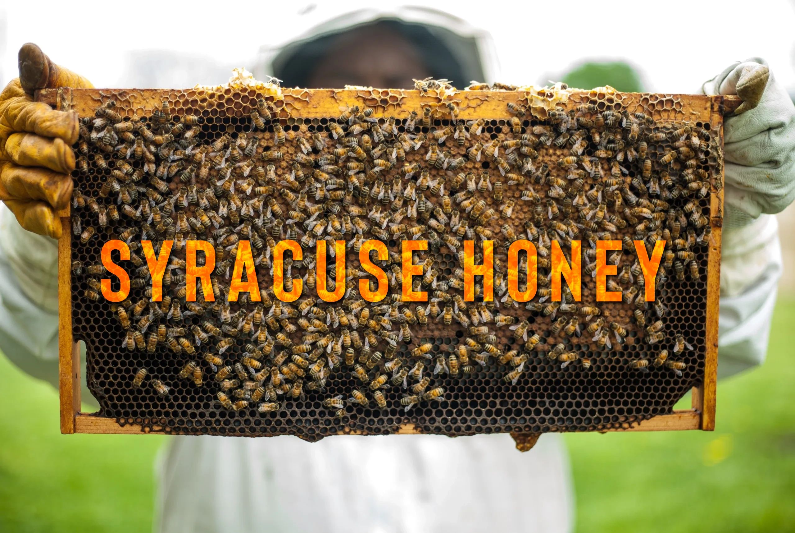 Syracuse Honey - Home