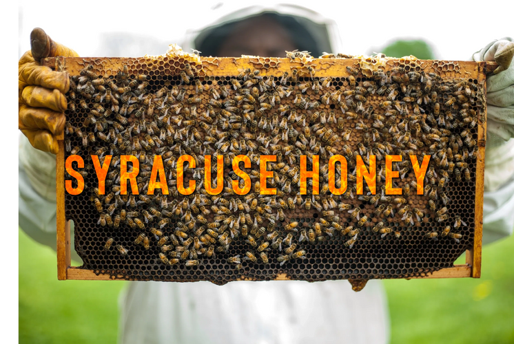 Honey, Bee Removal, save bees, organic honey, raw honey, wild honey, how to get rid of bees