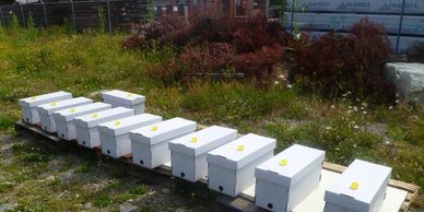 A set of NUCs on top of pallets