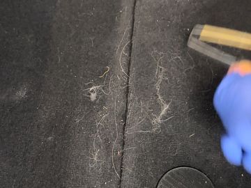 Pet Hair Removal 