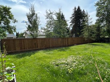 Pressure treated fence
