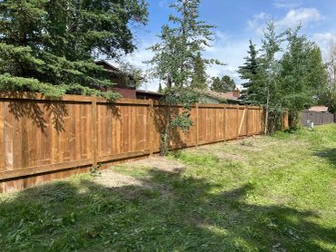 Pressure treated fence