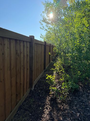 Full privacy pressure treated fence