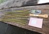 12 Red Osier Dogwood Arrow Shafts, Tools, DVD