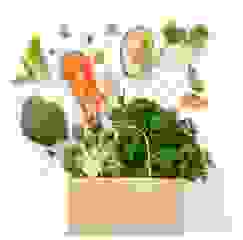 image1343