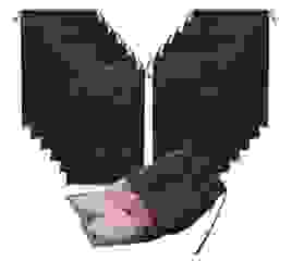 image1331