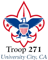 Troop 271