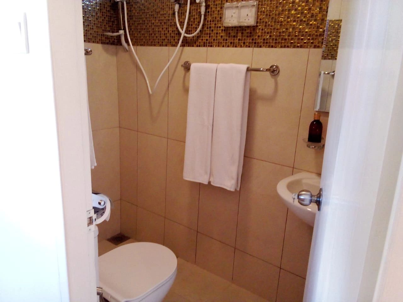 Grand Rover luxury caravan washroom interior with shower toilet and sink inside a movable hotel suit