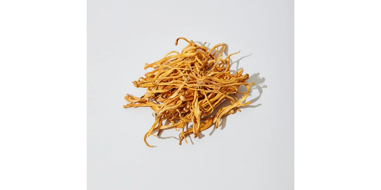 https://cordycepsandcll.com/