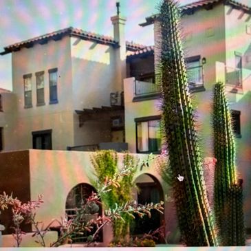 Tall cacti in front of a modern beige house with arched windows and balcony.