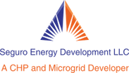    SEGURO ENERGY 
DEVELOPMENT LLC 