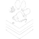 Muddy Paws
 Do-It-Yourself
 Dog Wash